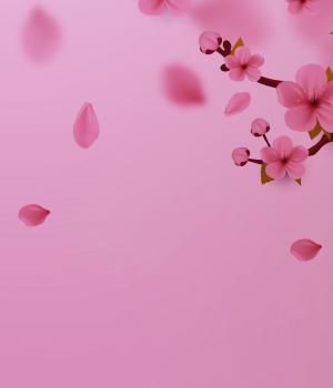 Fris de lente in 2025