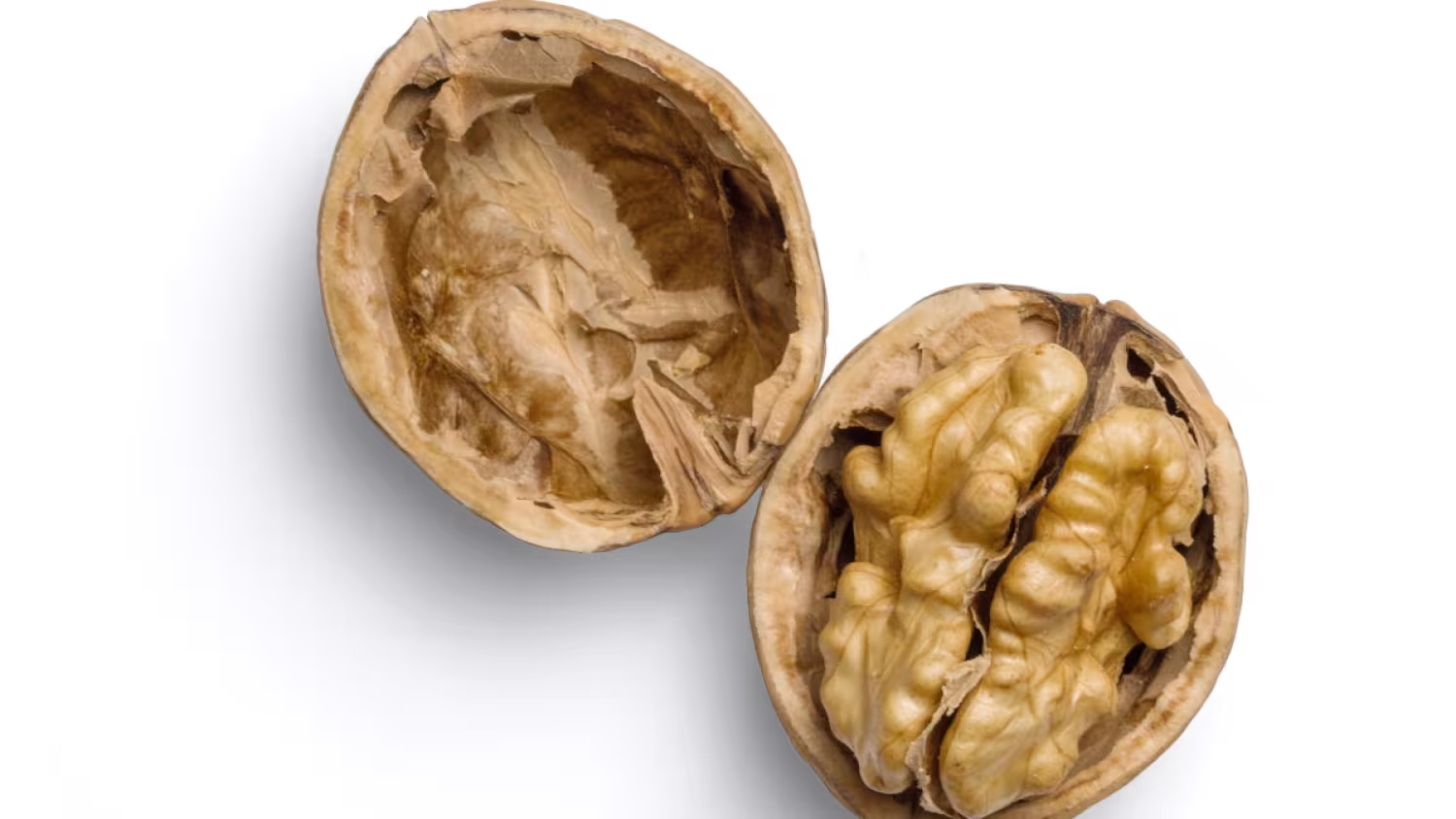 Pauzeren heeft groots effect op je hersenen