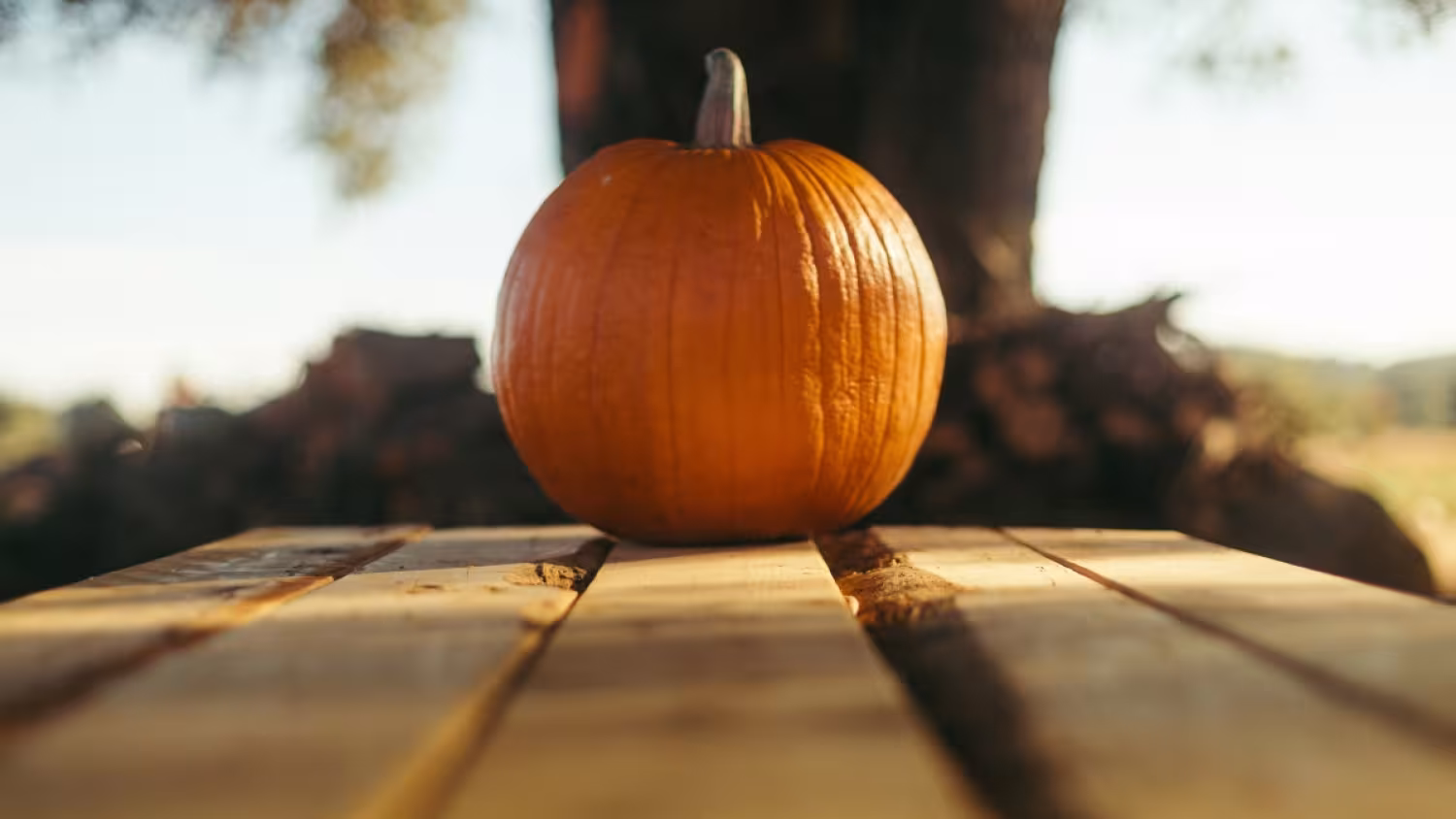 Het is sober oktober